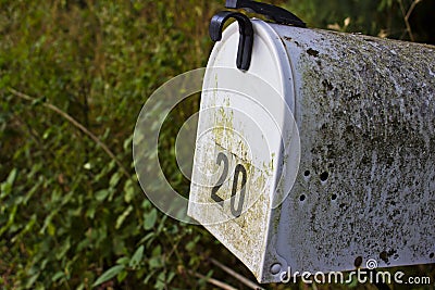 Rural Mailbox with Moss Stock Photo