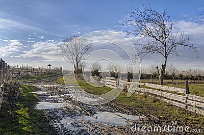 Rural mud road Stock Photo