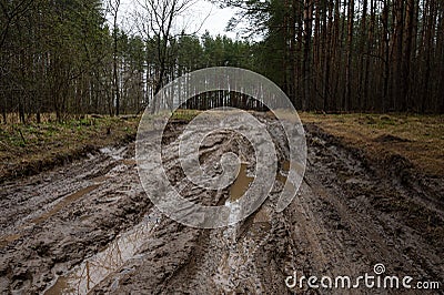 Rural muddy dirt road in early spring after rain against a background of bare trees and green firs. Off-road Stock Photo