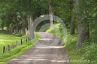 Rural path Stock Photo