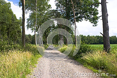 Rural path Stock Photo
