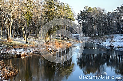 Rural pond with reflections of trees Stock Photo