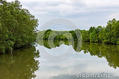 Rural river landscape summer river with bright sky and cloud Stock Photo