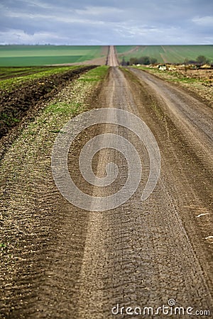Rural road disappearing on the horizon across the field Stock Photo