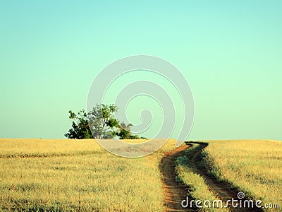 Rural road leading to a lonely oak tree Stock Photo