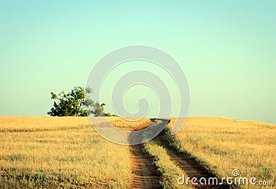 Rural road leading to a lonely oak tree Stock Photo