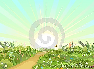 Rural road obliquely to Green Glade. Summer flowers meadow. Trail. Juicy grass close up. Grassland. Sunrise. Country Vector Illustration