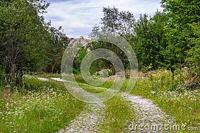 Rural road with small vegetation and cliffs Stock Photo