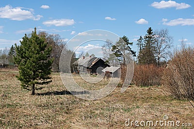 Rural rusttic fence Stock Photo