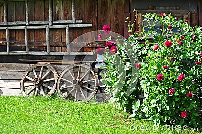 Rural scene Stock Photo