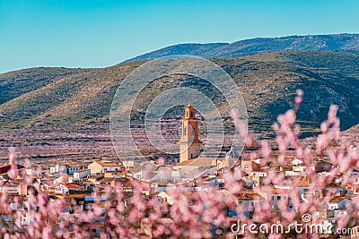 Rural scene. Almond trees blossom in Spain Stock Photo