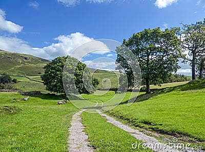 A rural scene looking along a track near Staveley, Cumbria Stock Photo