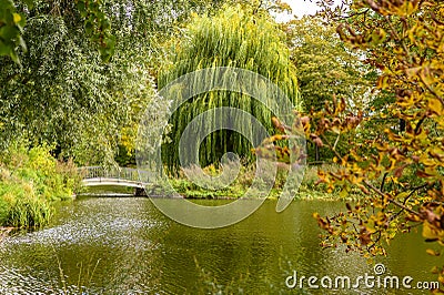 Rural scene with a pond, a bridge and autumnal colorful trees . Stock Photo