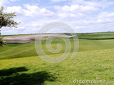 Rural scene of rolling hills with sheep Stock Photo