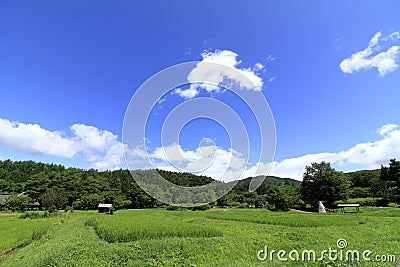 Rural scene summer Stock Photo