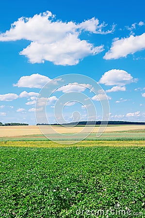 Rural scenic landscape Stock Photo