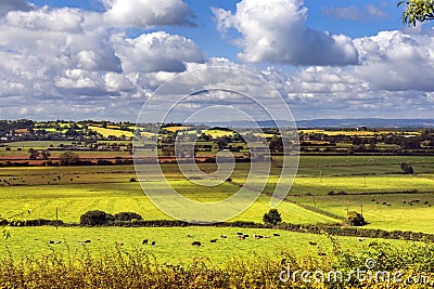 Rural scenic view of green fields, Salisbury, England Stock Photo