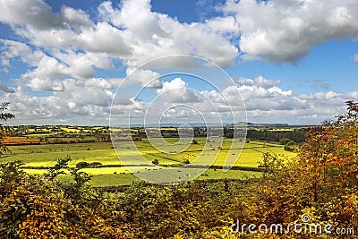 Rural scenic view of green fields, Salisbury, England Stock Photo