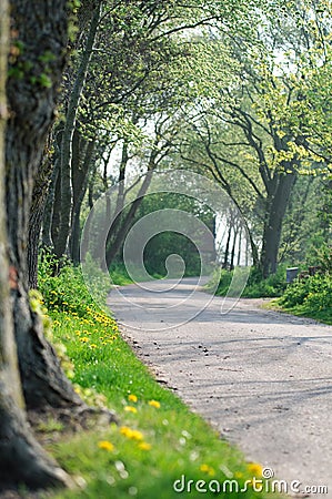 Rural spring road Stock Photo