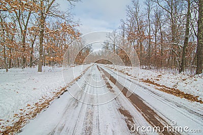 Rural straight dirt road in the snowy winter surrounded by forest Stock Photo