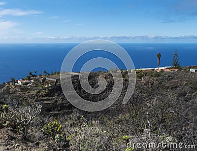 Rural subtropical landscape with palm trees, farm house and sea horizon. Blue sky background, La Palma, Canary Islands Stock Photo