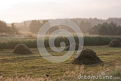 Rural summer landscape (Poland) Stock Photo