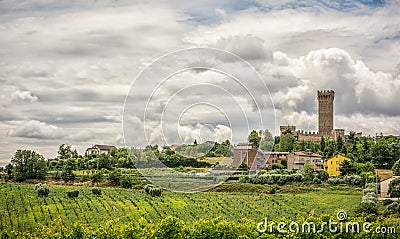 Rural summer landscape with vineyards and olive fields near Porto Recanati in the Marche region, Italy Stock Photo