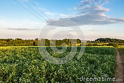 A rural Sussex view over farmand in summer Stock Photo