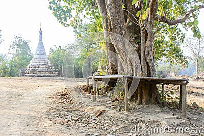 Rural view of pagoda, tree and bench Stock Photo