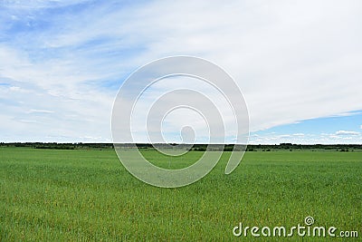 Rural village field green lush grass sky clouds Stock Photo