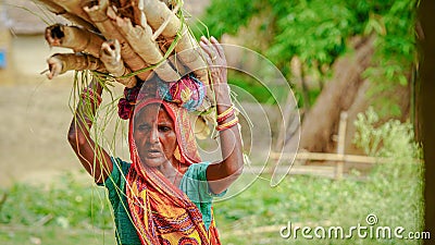 rural women doing hard work weight take on head Editorial Stock Photo