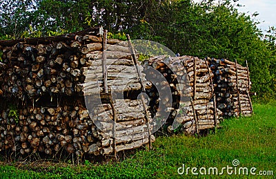 Rural Wood Log Stack Stock Photo
