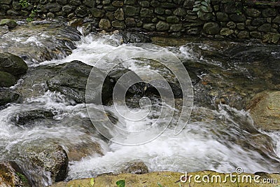 A rushing and deeply secluded stream flows through the lush vegetation of a southern forest Stock Photo