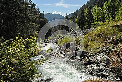 Rushing mountain stream deep in a valley of Strathcona Provincial Park, British Columbia, Canada Stock Photo