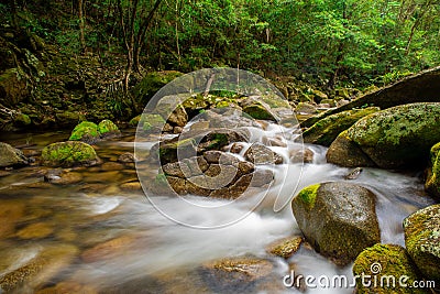 Rushing Stream in Mossman Gorge Stock Photo