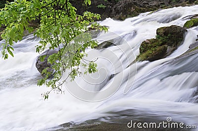 Rushing stream river Stock Photo