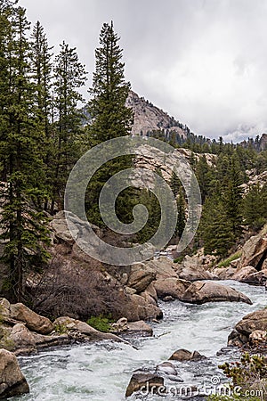 Rushing stream river water through Eleven Mile Canyon Colorado Stock Photo