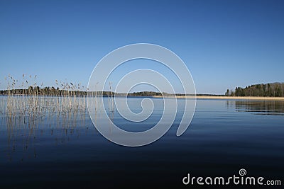Rushy lake Stock Photo