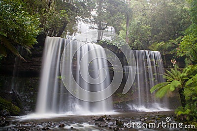 Russell Falls Stock Photo