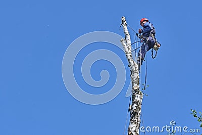 Russia 2020. An arborist cutting a tree with a chainsaw. color Editorial Stock Photo