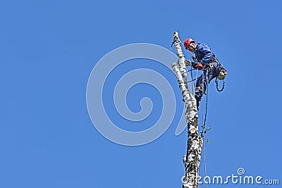 Russia 2020. An arborist cutting a tree with a chainsaw. color Editorial Stock Photo