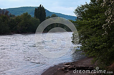 Russia. Krasnodar region. Mountain river in Adygea. Stock Photo