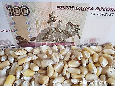 Russia, maize producing country, dry corn grains and russian banknote of 100 rubles Stock Photo