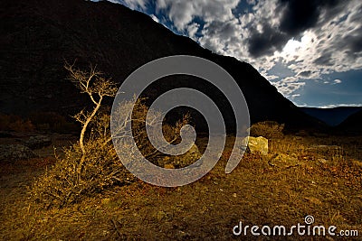 Moonlight night in the Altai Mountains Stock Photo