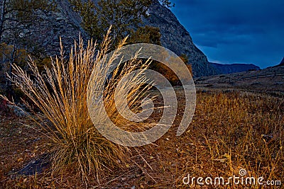 Moonlight night in the Altai Mountains Stock Photo