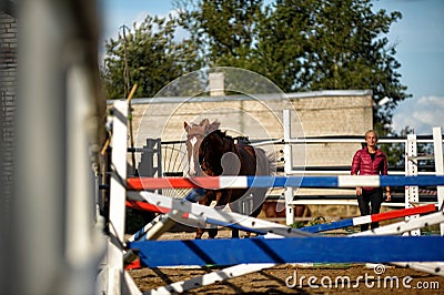 Brown horse jumps over obstacles in training Editorial Stock Photo