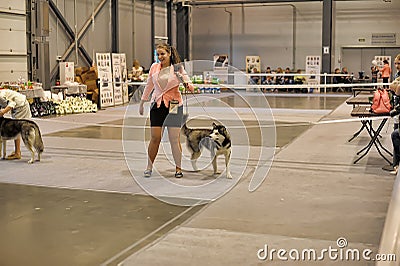 Exhibitors showing their pets during International Dog Show Editorial Stock Photo