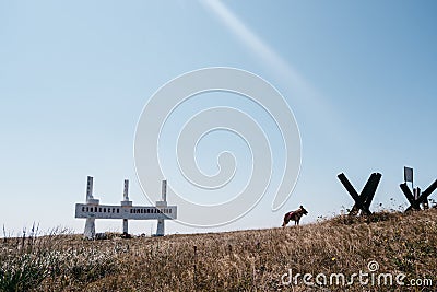 10-08-2020 Russia, Tuapse. Hike to places of military glory in the national Park of Russia. Silhouette of a dog on top of a Editorial Stock Photo