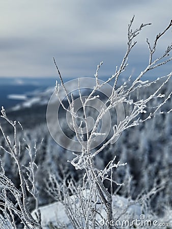 Russia, Ural Mountains, winter, white snow Stock Photo