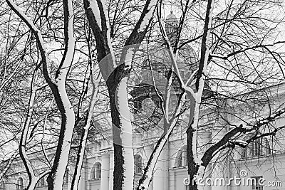 Russia, Winter St. Petersburg, view of the dome of St. Isaac`s Cathedral and the manege. Black and white graphic photo. Clear text Stock Photo